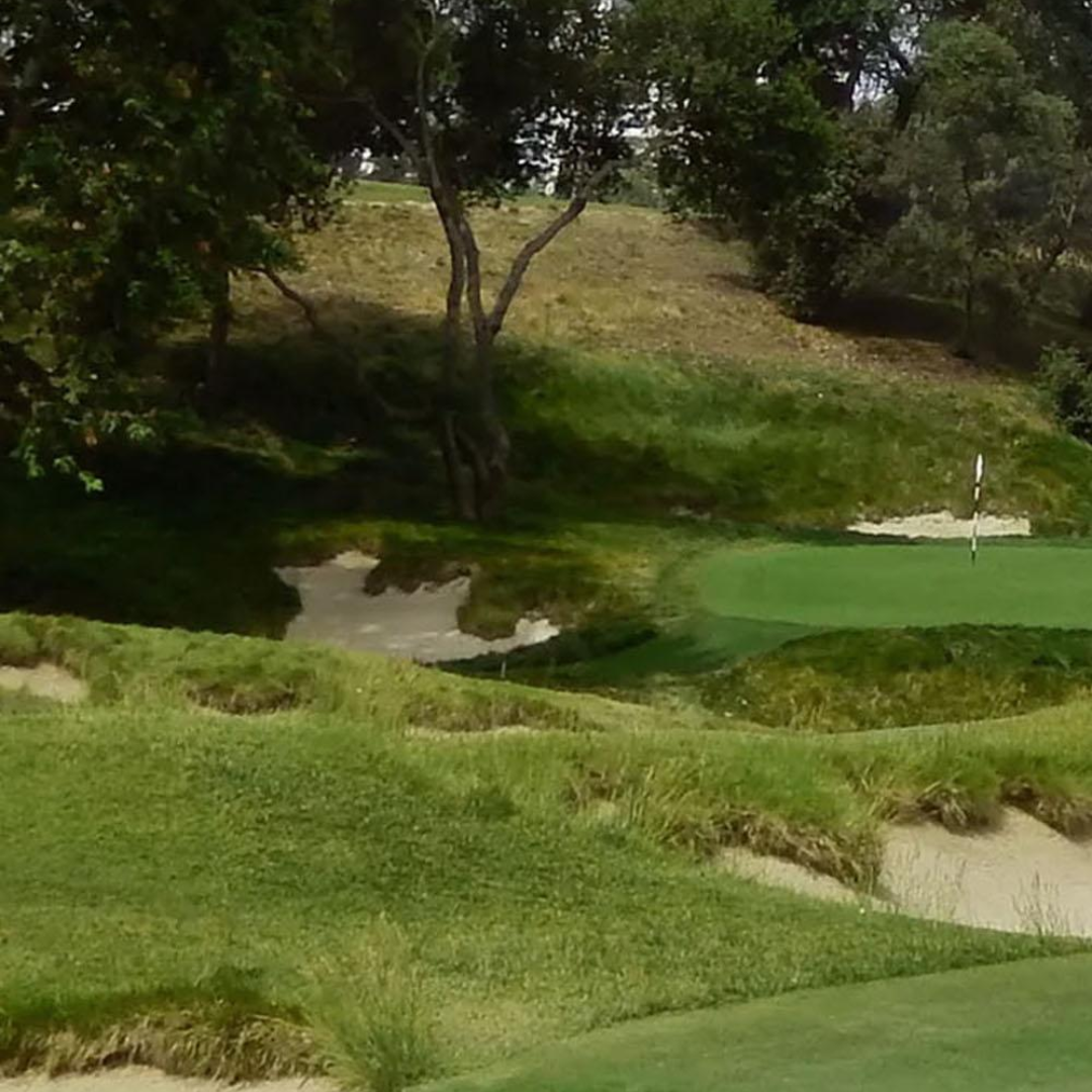 DLF Seeds Fine Fescue Shoreline