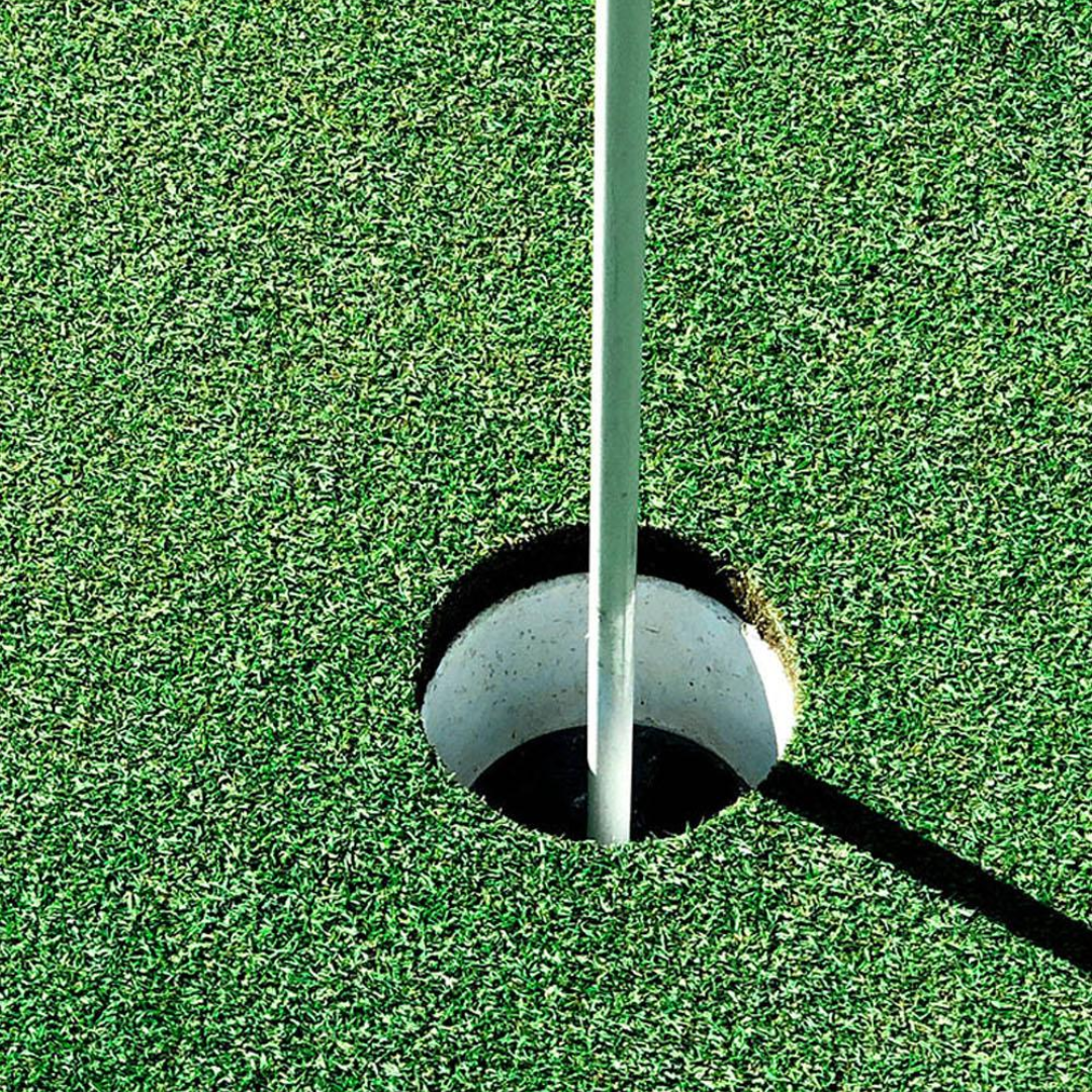 DLF Seeds Bentgrass 007XL