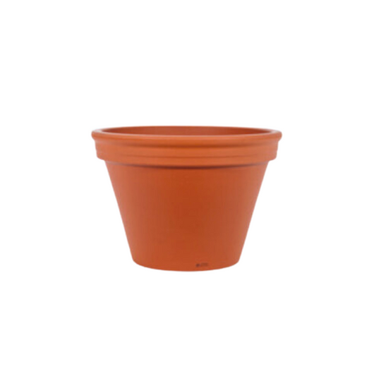 Vaserie PLP Terra Cotta Pot AZALEA 8" [16/BOX]