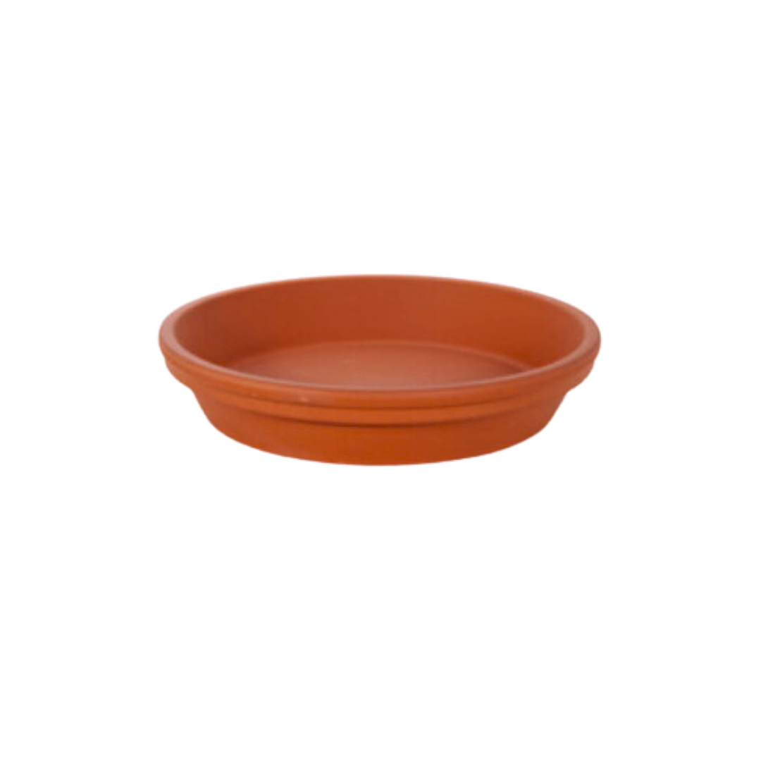 Vaserie PLP Terra Cotta Standard Saucer 10" [6/BOX]