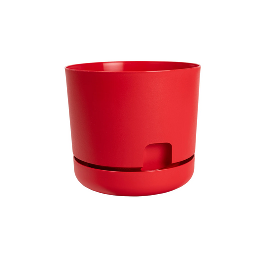 DCN PLASTICS OASIS SELF-WATERING PLANTERS 12" |  RED [6/Case]