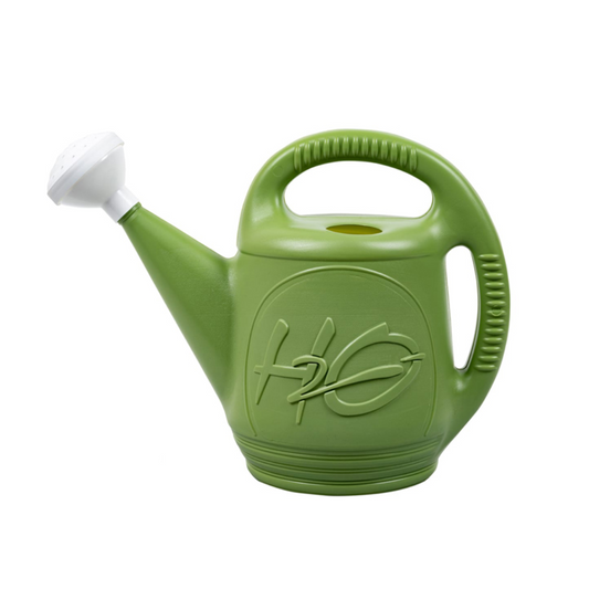 DCN PLASTICS WATERING CAN 2 GALLON | GREEN [12/Case]