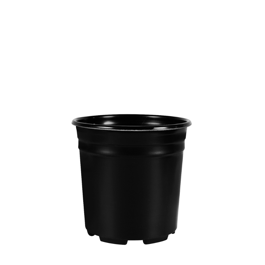 HC Company TFT025Q0 2.5 Quart HEAVY Thermoform True Nursery Pot | [7,500/BULK]