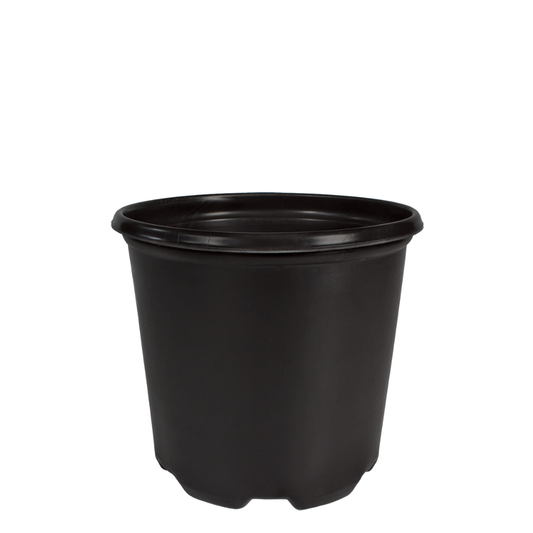 HC Company TFT001G0 1 Gallon True Thermoform Nursery Pot | [5,250/BULK]