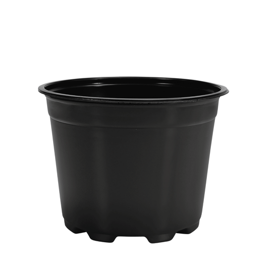 HC Company 21cm Euro Greenhouse Round Pot [210/CASE] [7,200/SKID]