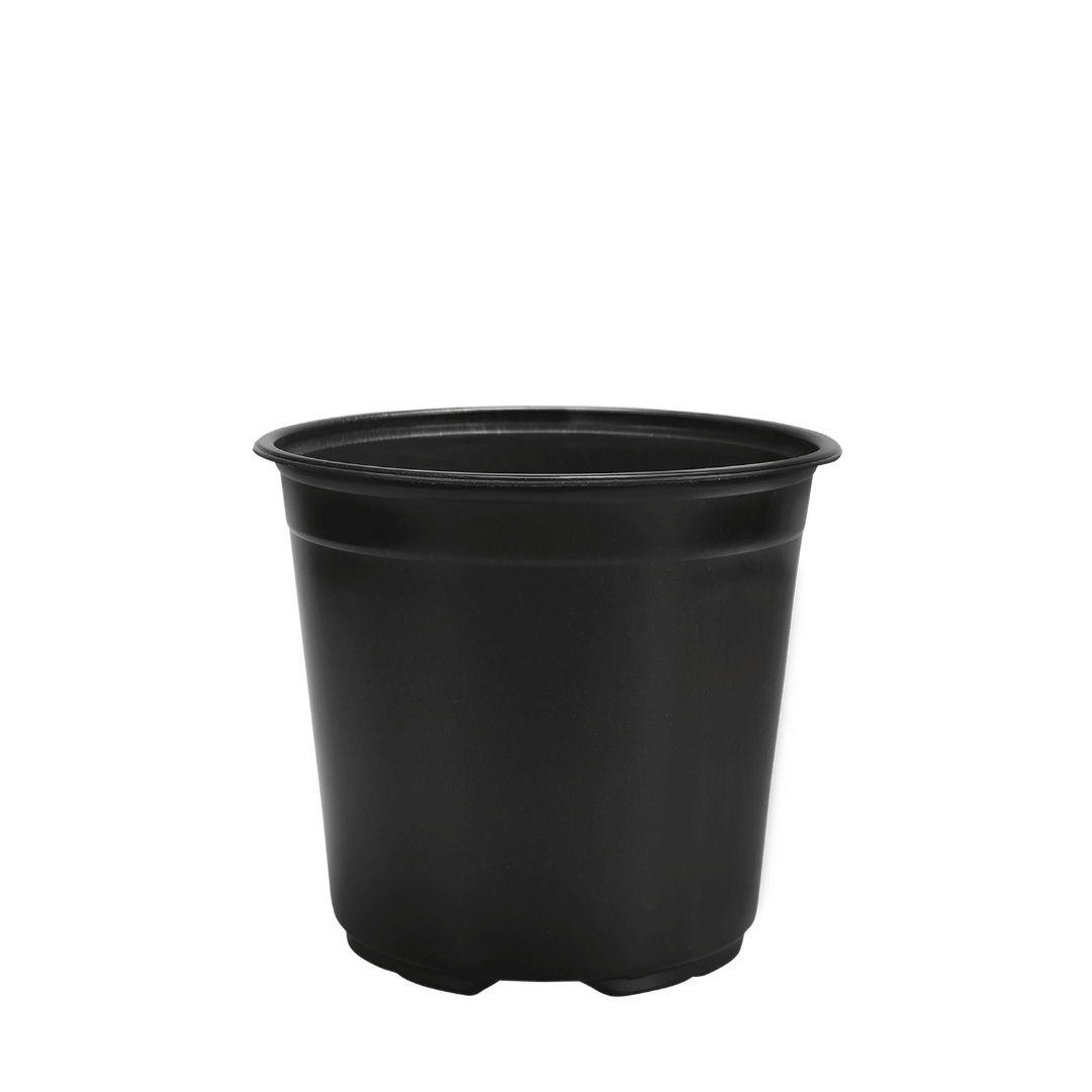 HC Company 15cm Euro Greenhouse Round Pot TALL [488/CASE] [15,616/SKID]