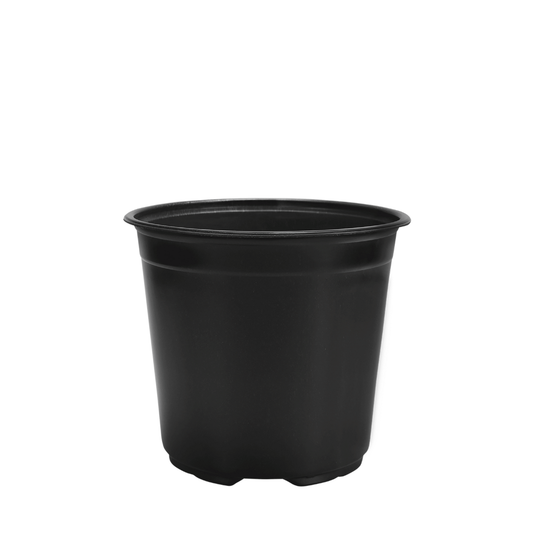 HC Company 15cm Euro Greenhouse Round Pot TALL [488/CASE] [15,616/SKID]