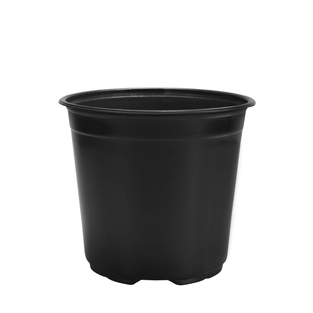 HC Company 19cm Euro Greenhouse Round Pot TALL [132/CASE] [4,752/SKID]