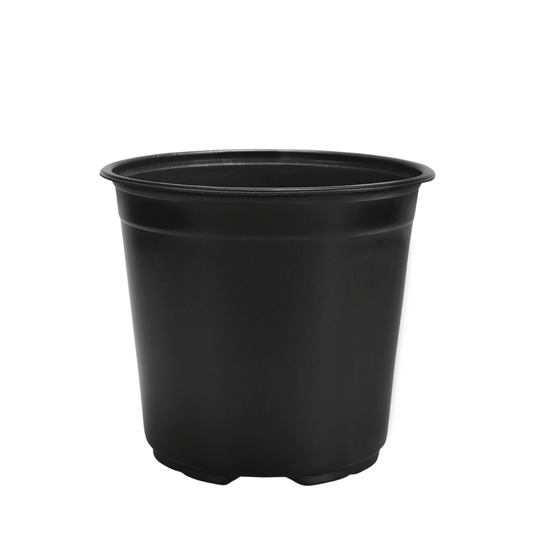 HC Company 19cm Euro Greenhouse Round Pot TALL [132/CASE] [4,752/SKID]