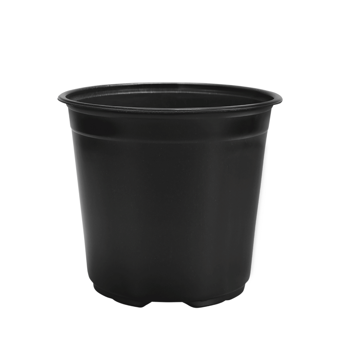 HC Company 21cm Euro Greenhouse Round Pot TALL [190/CASE] [5,700/SKID]