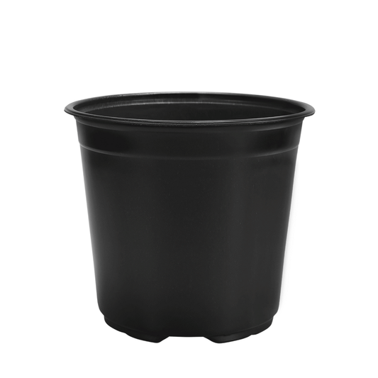 HC Company 21cm Euro Greenhouse Round Pot TALL [190/CASE] [5,700/SKID]