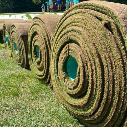 DLF Seeds A-LIST Sod Blend Grass Seeds