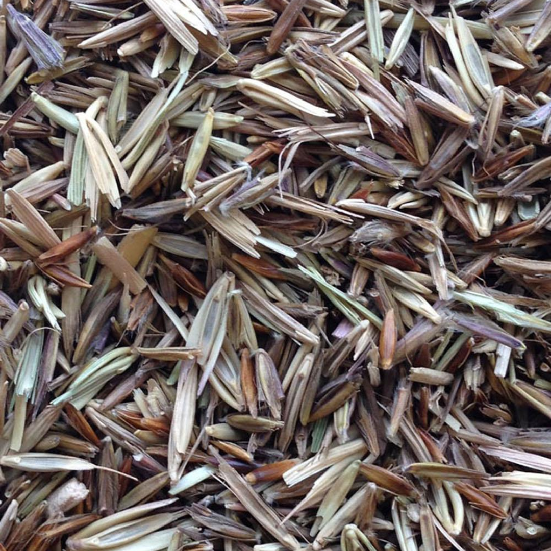 DLF Seeds Tall Native Mix Seeds
