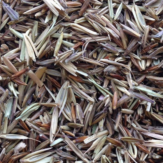 DLF Seeds Tall Native Mix Seeds