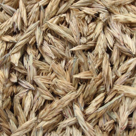 DLF Seeds Side Oats Grama Seeds
