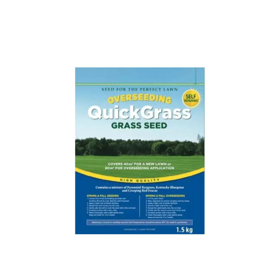 Quality Seeds Packaged Lawn Seed Mixes Shade Area QuickShade 1.5kg