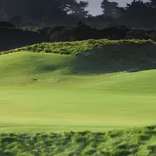 Quality Seeds Shadow III Chewings Fescue