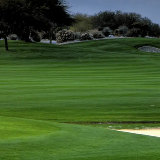 Quality Seeds Prinicpal II Perennial Ryegrass