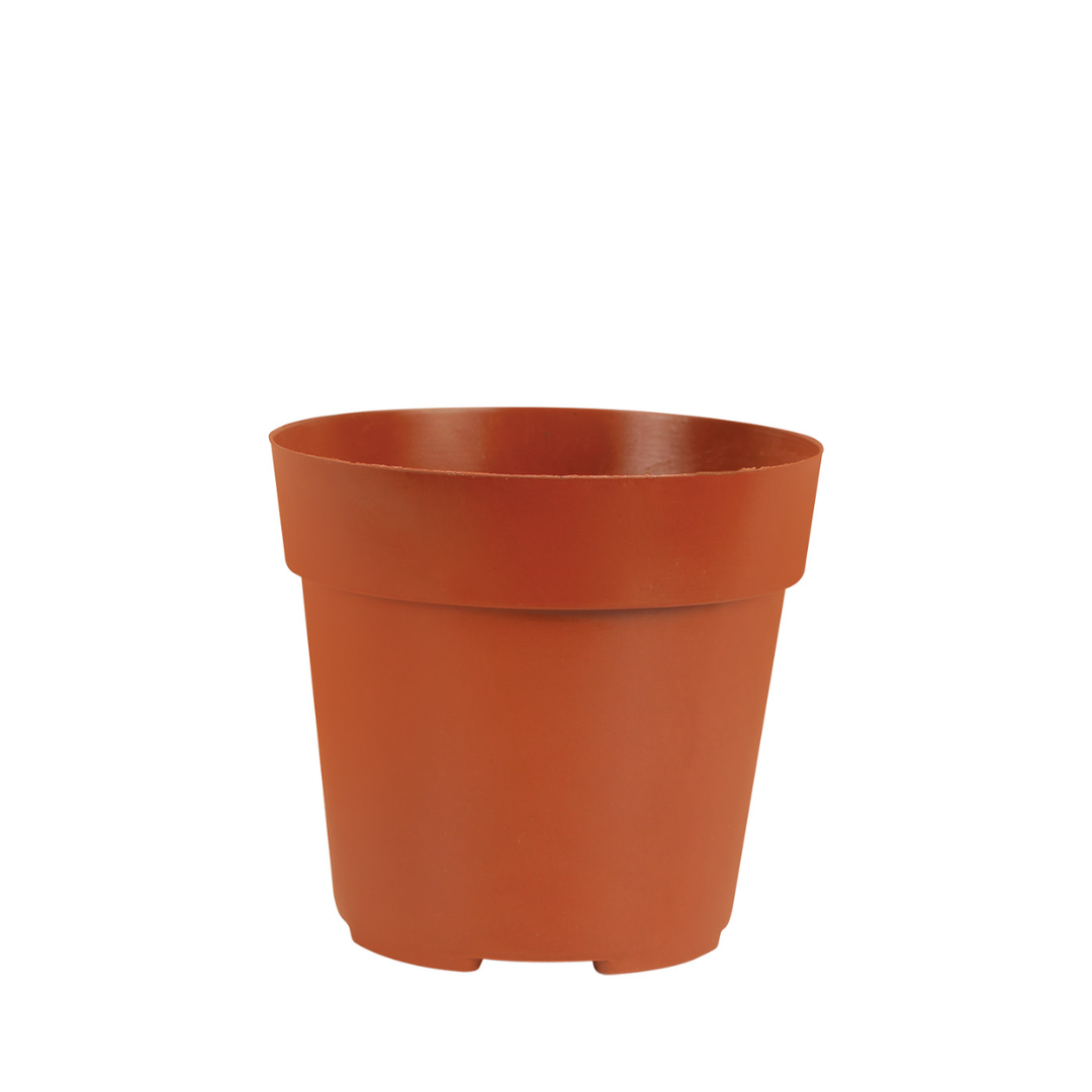 HC Company 60MM Mini Pot [1,620/CASE] [87,480/SKID]
