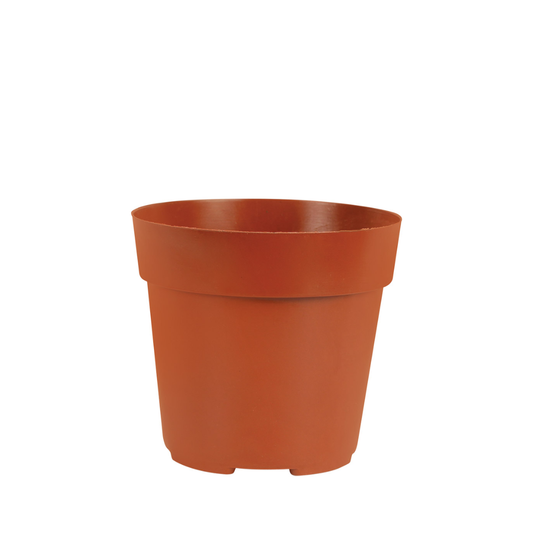 HC Company 60MM Mini Pot [1,620/CASE] [87,480/SKID]