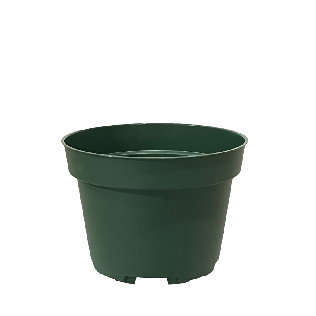 HC Company 4.00 Injection Azalea Pot GREEN [1,980/CASE] [42,000/SKID]