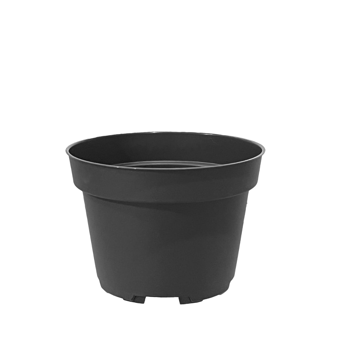 HC Company 4.00 Injection Azalea Pot BLACK [1,980/CASE] [42,000/SKID]