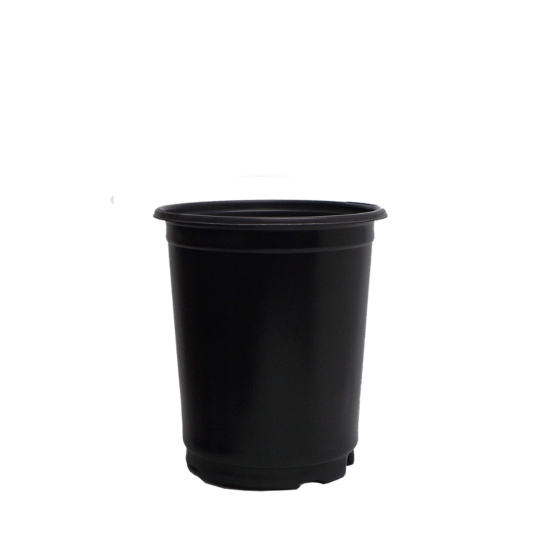 HC Company 1 Quart Perennial Co-Ex Pot [432/CASE] [14,256/SKID]
