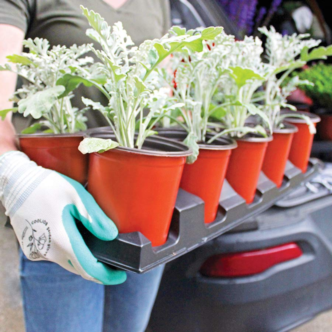 HC Company 1 Quart Perennial Co-Ex Pot [432/CASE] [14,256/SKID]