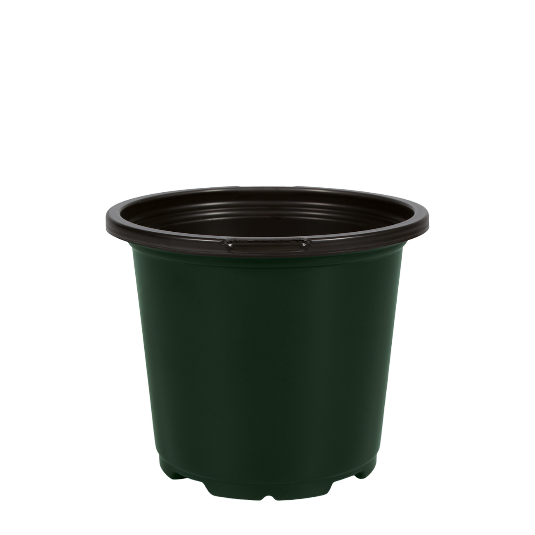HC Company 4.25" Round Geranium Pot Co-Ex GREEN [520/CASE] [31,200/SKID]