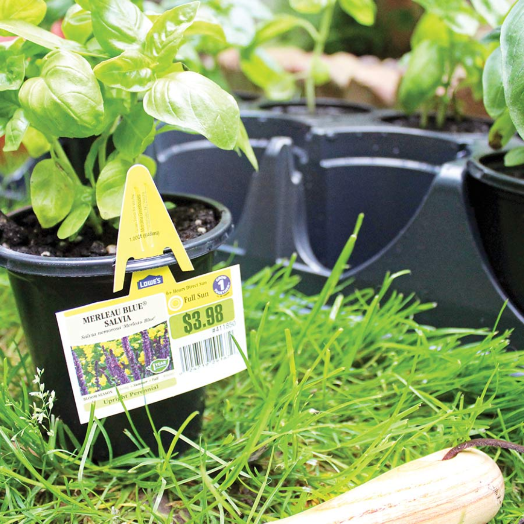 HC Company 4.00 Standard Co-Ex Pot GREEN [1,260/CASE] [35,280/SKID]