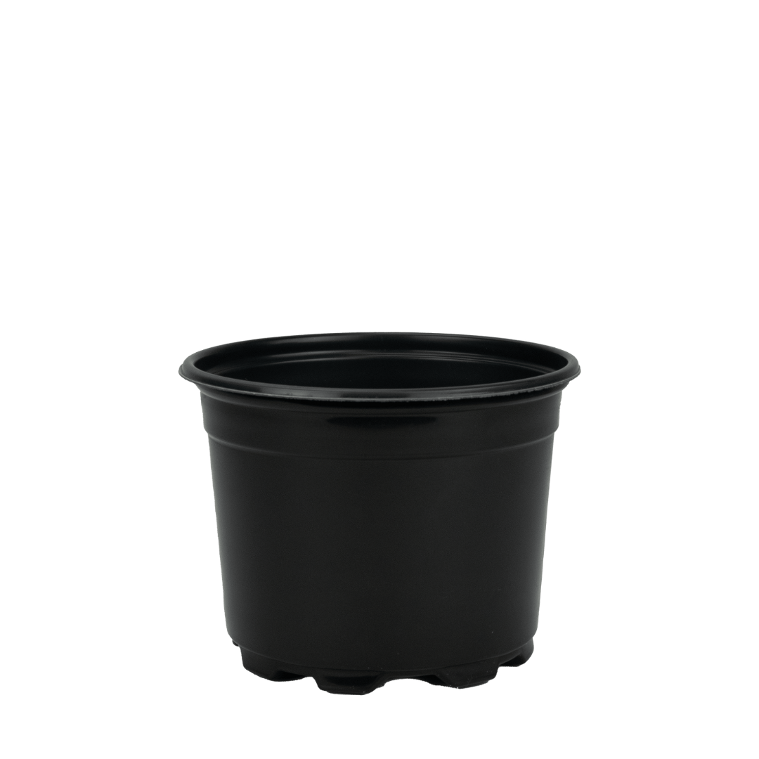 HC Company 5.00 Round Azalea Short Pot Co-Ex BLACK [675/CASE] [24,300/SKID]