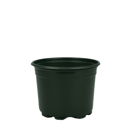 HC Company 5.00 Round Azalea Short Pot Co-Ex GREEN [675/CASE] [24,300/SKID]