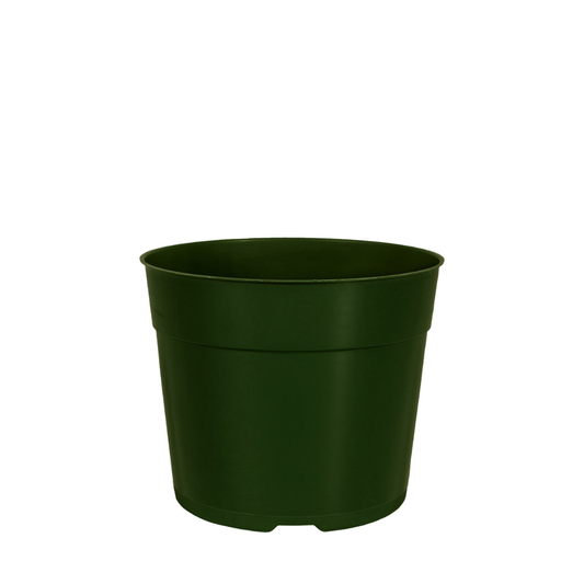 HC Company 5.50 Azalea Traditional Thinwall [675/CASE] [24,300/SKID]