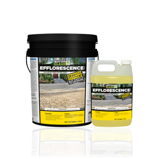 Gator Efflorescence Cleaner 18.9 L (5 U.S. gal.) [48 UNITS/SKID]