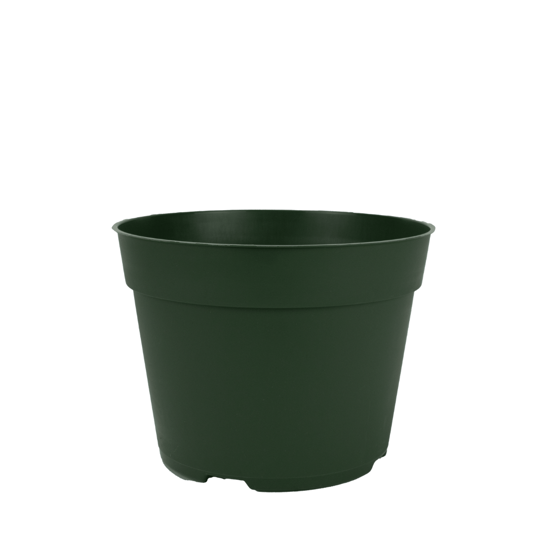 HC Company 6.50 Round Azalea Traditional Thinwall Pot GREEN [240/CASE] [11,520/SKID]