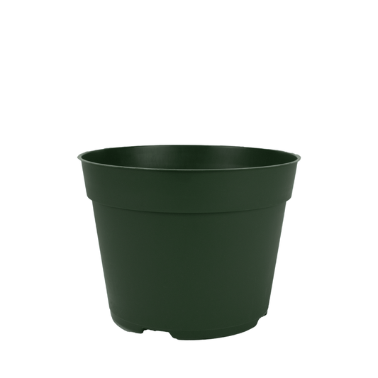 HC Company 6.50 Round Azalea Traditional Thinwall Pot GREEN [240/CASE] [11,520/SKID]