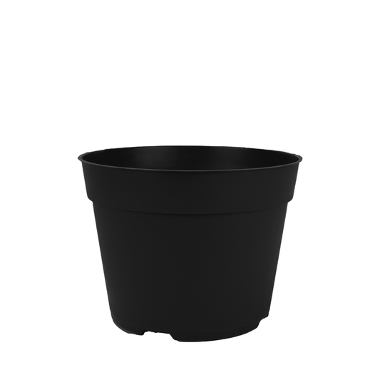 HC Company 6.50 Round Azalea Traditional Thinwall Pot BLACK [240/CASE] [11,520/SKID]
