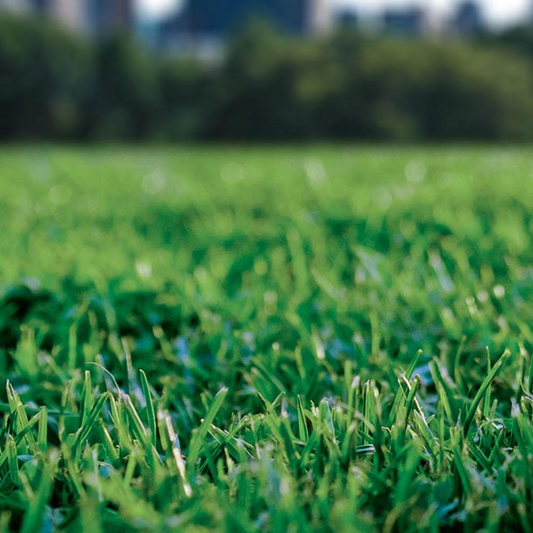 Quick-2-Gro Turfgrass Mix Grass Seeds
