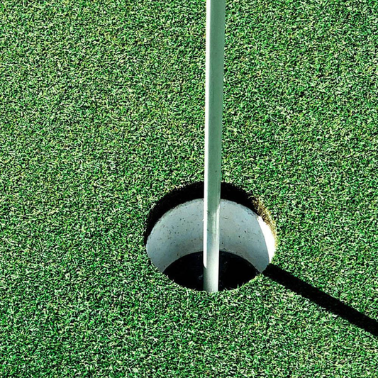 DLF Seeds Bentgrass 007XL
