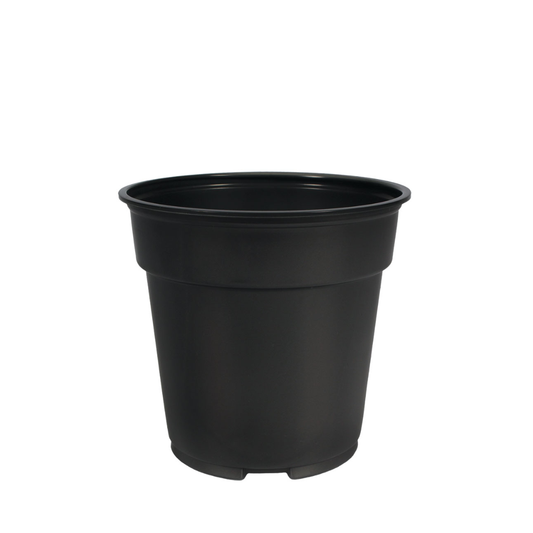 HC Company 6.00 Standard Co-Ex [480/CASE] [15,360/SKID]